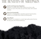 Genuine Sheepskin Rug 90x60 cm | Luxury Natural Wool Throw